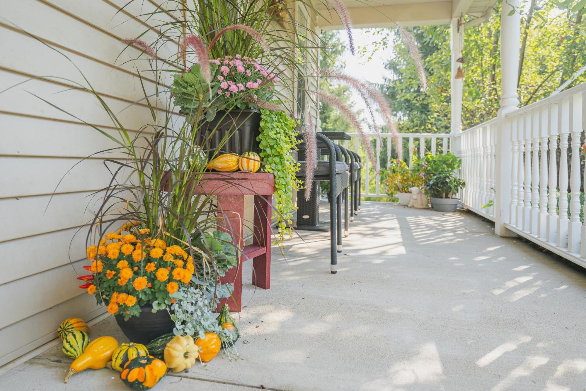 Bed and Breakfast Old Town Country Landing Niagara-on-the-Lake Exteriér fotografie