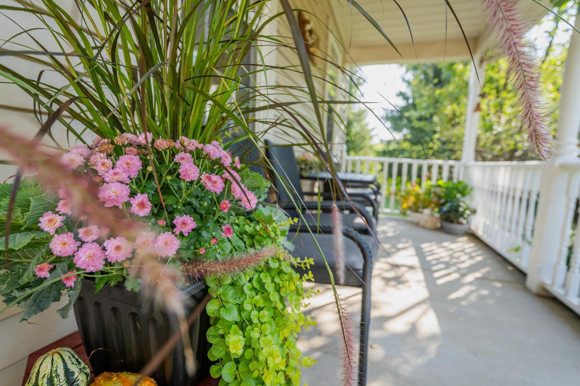 Bed and Breakfast Old Town Country Landing Niagara-on-the-Lake Exteriér fotografie